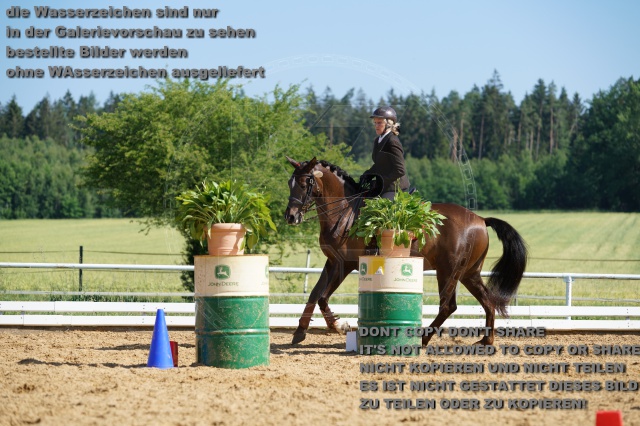 s_K3F05613.JPG